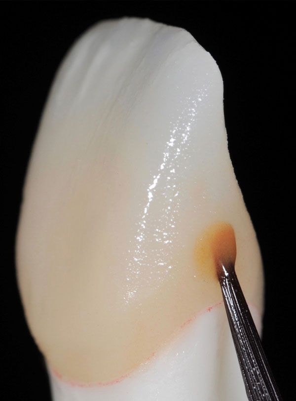 Dental Suite One